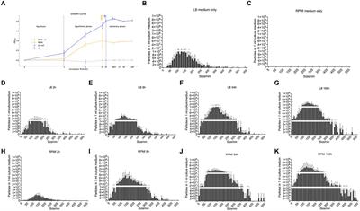 The proteome of bacterial membrane vesicles in Escherichia coli—a time course comparison study in two different media